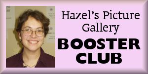 Tracey Callison, Hazel's Picture Gallery booster