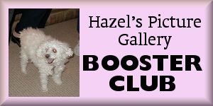 CASFS, Hazel's Picture Gallery booster