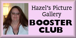 Michelle Dane, Hazel's Picture Gallery booster