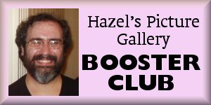 Sol Davidoffo, Hazel's Picture Gallery booster