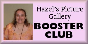 Kim Bergdahl, Hazel's Picture Gallery booster