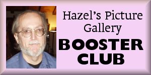 Dan McCarthy, Hazel's Picture Gallery booster