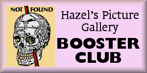 Hazel's Picture Gallery booster