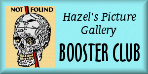 Hazel's Picture Gallery booster