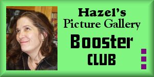 Selina Phanara, Hazel's Picture Gallery booster