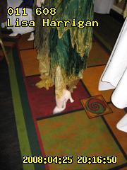 ../25u-lisah/25u-lisah-201650.IMG_1200.011608t.jpg
