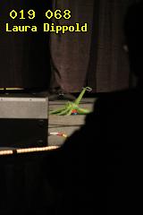 ../26u-laura/26u-laura-211257.IMG_4516.019068t.jpg