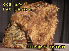 2008:04:26 23:33:39 by pat (Pat Larson)