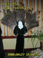 ../27p-tom/27p-tom-150159.DSCN7285.013851t.jpg