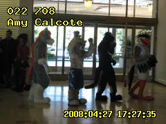 ../27r-amy/27r-amy-172735.CosCon2008_514.022708t.jpg