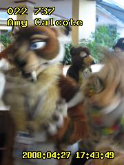 ../27r-amy/27r-amy-174349.CosCon2008_543.022737t.jpg