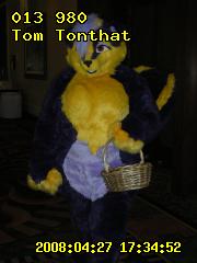 ../27r-tom/27r-tom-173452.DSCN7417.013980t.jpg