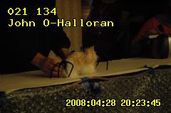 ../28u-johno/28u-johno-202345.DSC_0045.021134t.jpg